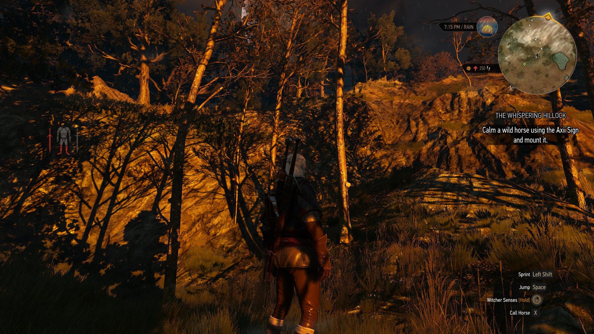 witcher3_2015_05_25_28fr6w.png