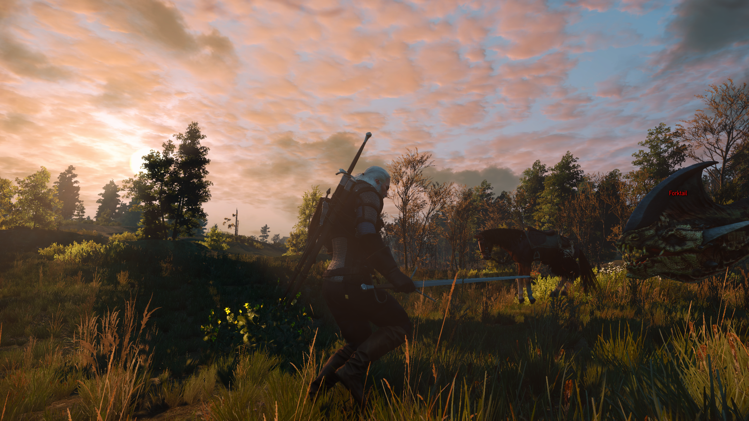 witcher3_2015_05_27_1nkpwd.png