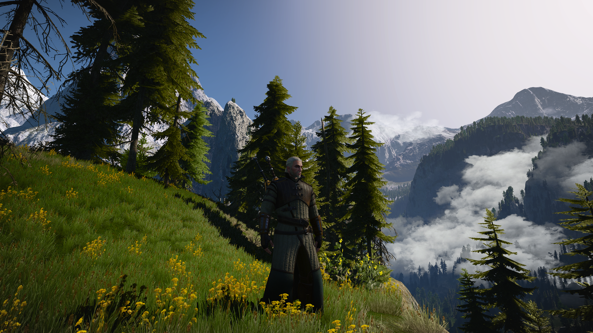 witcher3_2015_06_08_21iy3l.png
