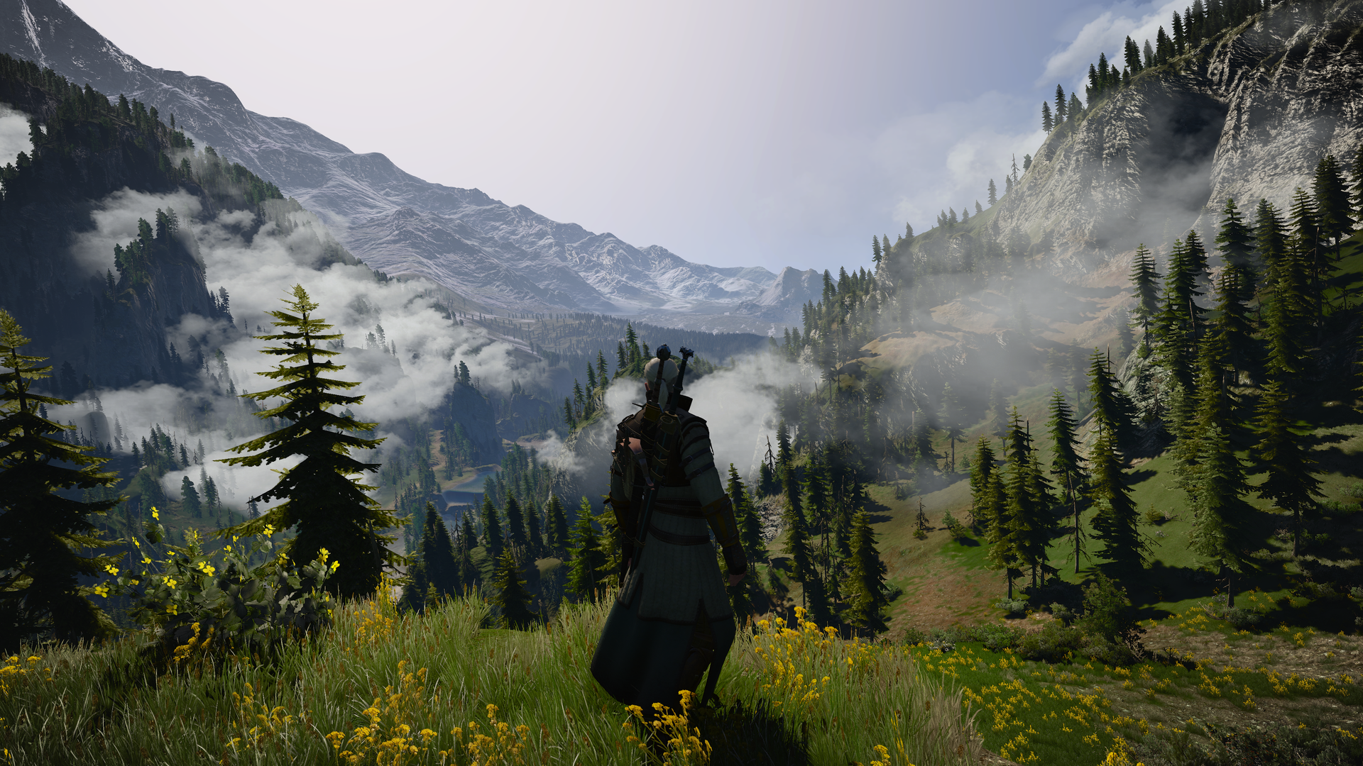witcher3_2015_06_08_231zo1.png