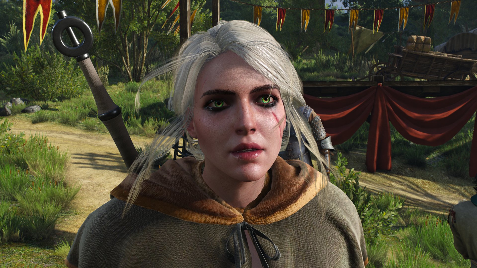witcher3_2015_12_27_1lopn3.png