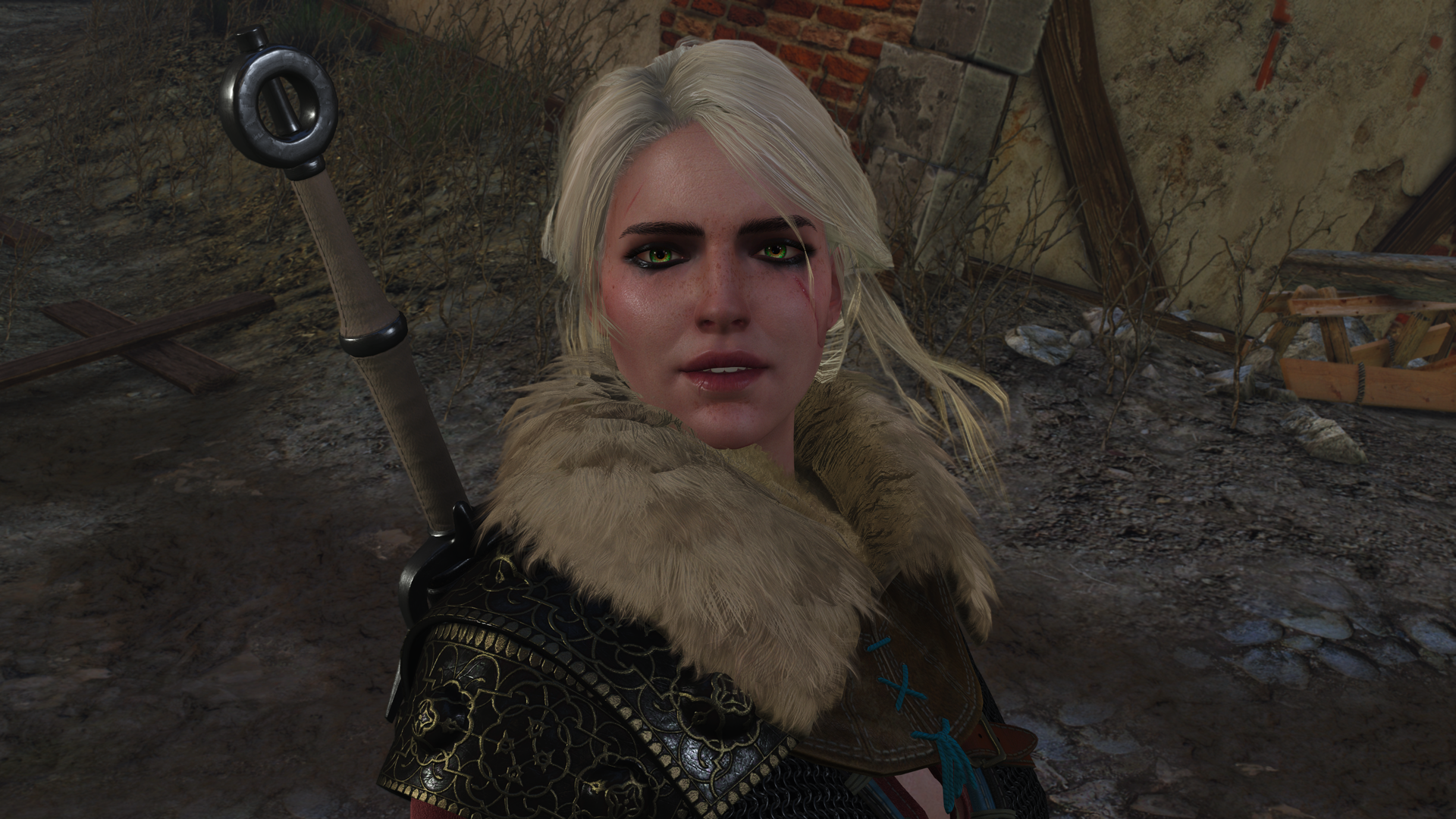 witcher3_2015_12_27_1wuqzj.png
