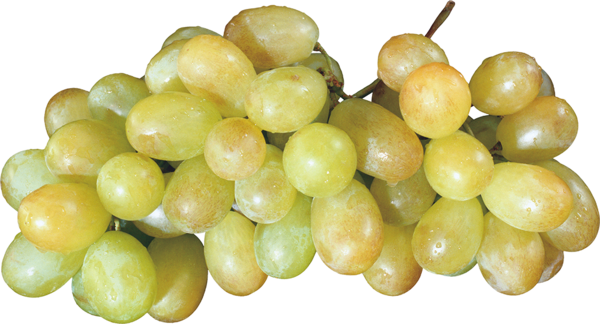 grape_png1108vsbx.png