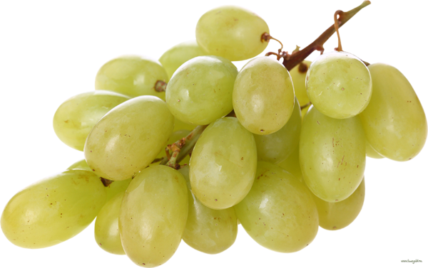 grape_png157yrskh.png