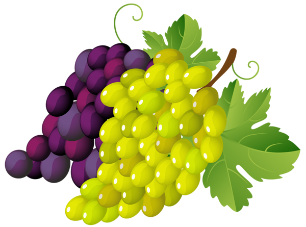 grape_png936us9s.png