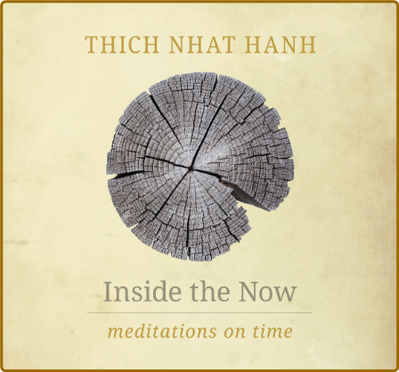 Inside the Now  Meditations on Time (Parallax, 2015)
