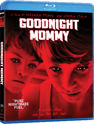 Goodnight Mommy (2014) .avi AC3 BRRIP - ITA