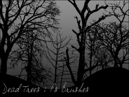 1474362334_dead-trees21kl7.jpg
