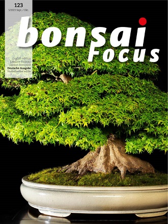 1699191632_bonsai-fockbe53.jpg