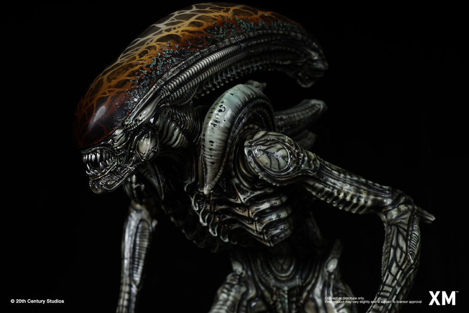 Premium Collectibles : Alien Hive-Warrior 16x1jvz