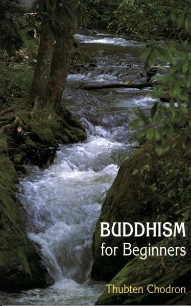 Buddhism For Beginners by Thubten Chodron