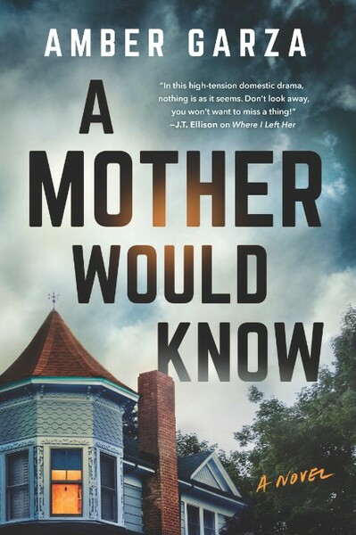 A Mother Would Know by Amber Garza