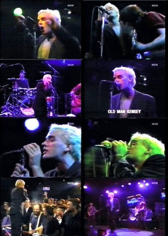 R.E.M. - Rockpalast Englisch 1985  MPEG DVD - Dorian