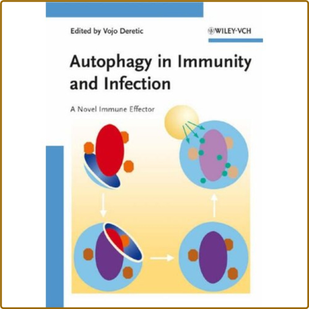 Autophagy in Immunity and Infection  A Novel Immune Effector