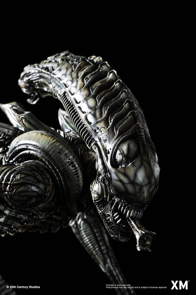Premium Collectibles : Alien Hive-Warrior 4uyjp3