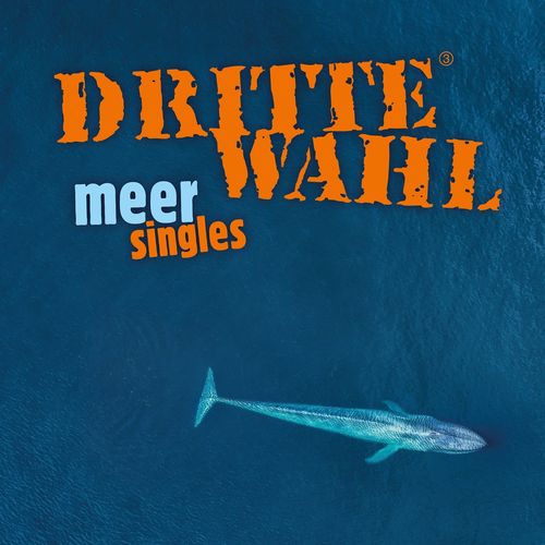 Dritte Wahl - Meer Singles (2021)