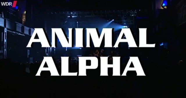 Animal Alpha - Rockpalast Deutsch 2006 AAC HDTV AVC - Dorian