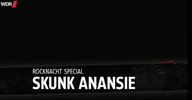 Skunk Anansie - Rocknacht Special Deutsch 2009 AAC HDTV AVC - Dorian