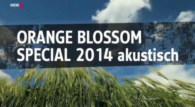 Orange Blossom Special - Rockpalast Deutsch 2014 AAC HDTV AVC - Dorian