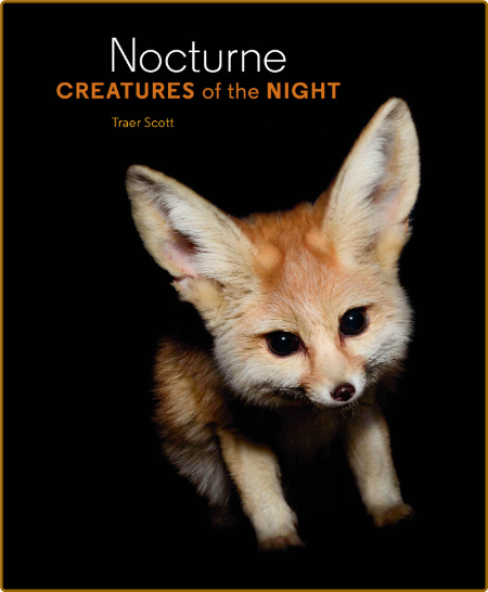 Nocturne Creatures of the Night by Traer Scott