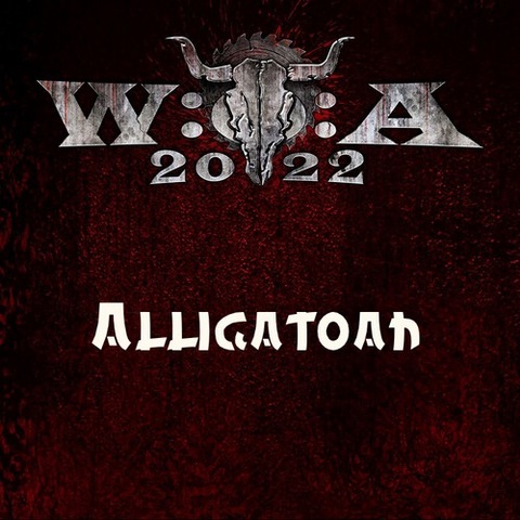 Alligatoah - Wacken Open Air Deutsch 2022  1080p AAC HDTV AVC - Dorian