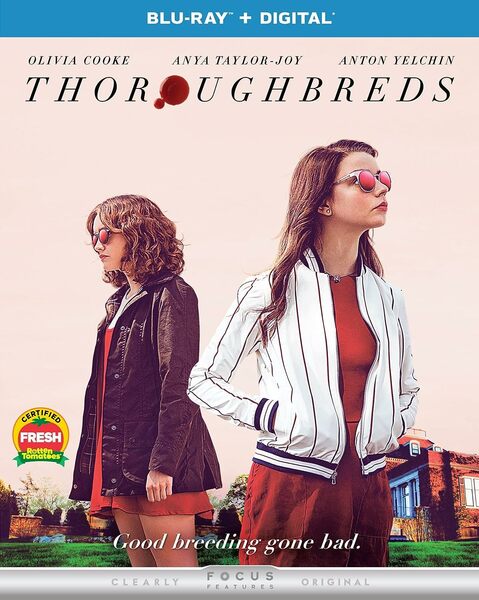Thoroughbreds (2017) BluRay 1080p DD5.1 x264-BHDStudio