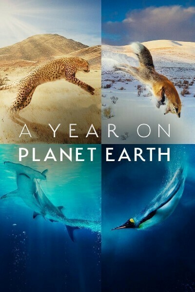 A Year on Planet Earth S01E01 1080p HEVC x265-MeGusta