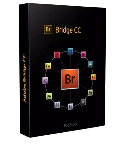 download the new version for android Adobe Bridge 2024 v14.0.1.137