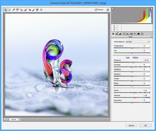 Adobe Camera Raw v13.2 (x64)