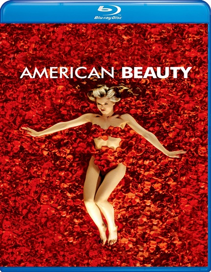 american-beauty-5568dobeou.png