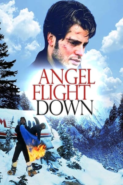 angel.flight.down.199ytclb.jpg