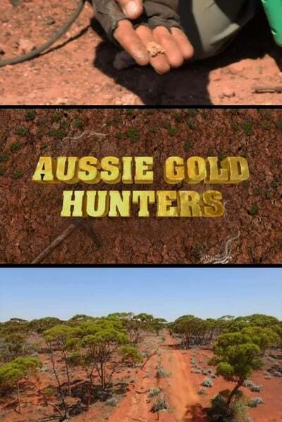Aussie Gold Hunters S08E03 1080p HEVC x265-[MeGusta]