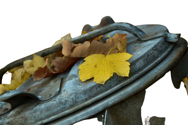 autumn-leaves-garbage92krx.png