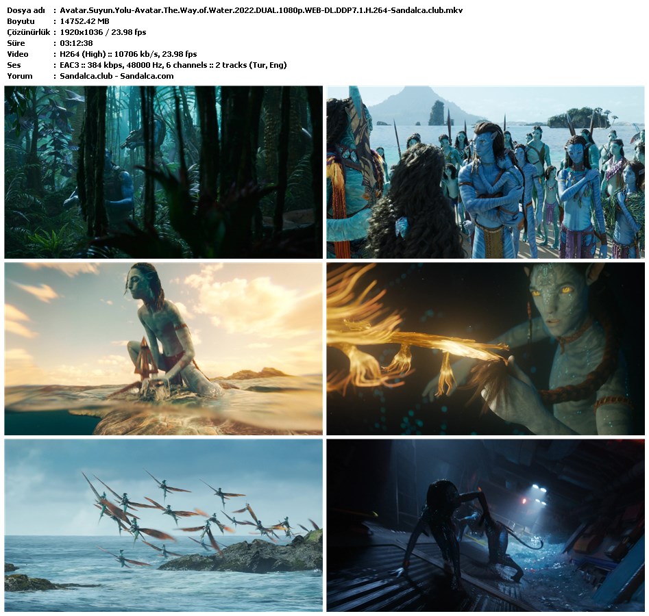 Avatar: Suyun Yolu Türkçe Dublaj indir | 1080p DUAL | 2022