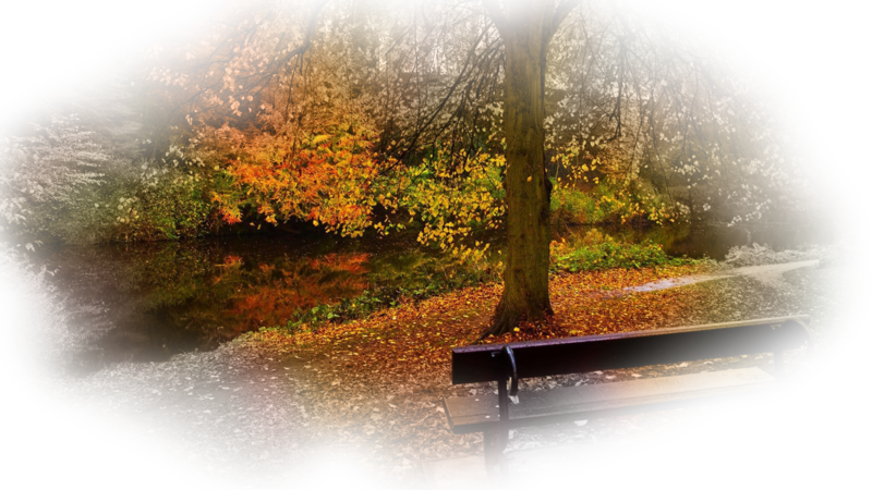 bench-in-the-autumn-fzjsd3.png