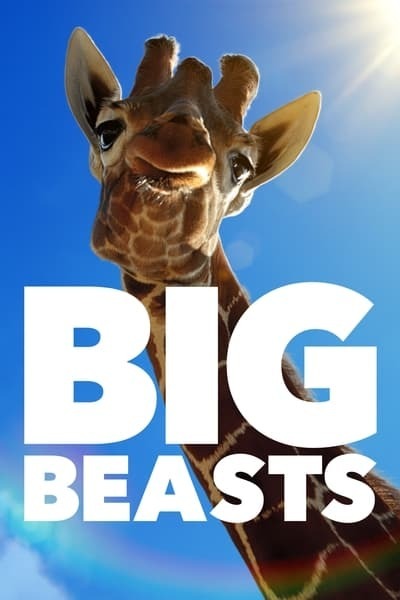 Big Beasts S01E04 1080p HEVC x265-MeGusta