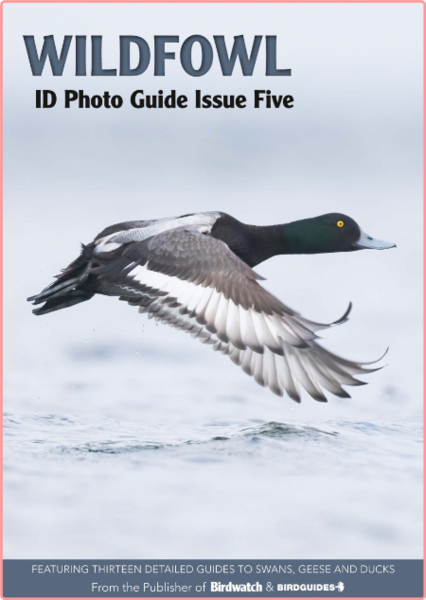Bird ID Photo Guides-06 February 2023