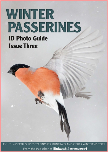 Bird ID Photo Guides-05 December 2022