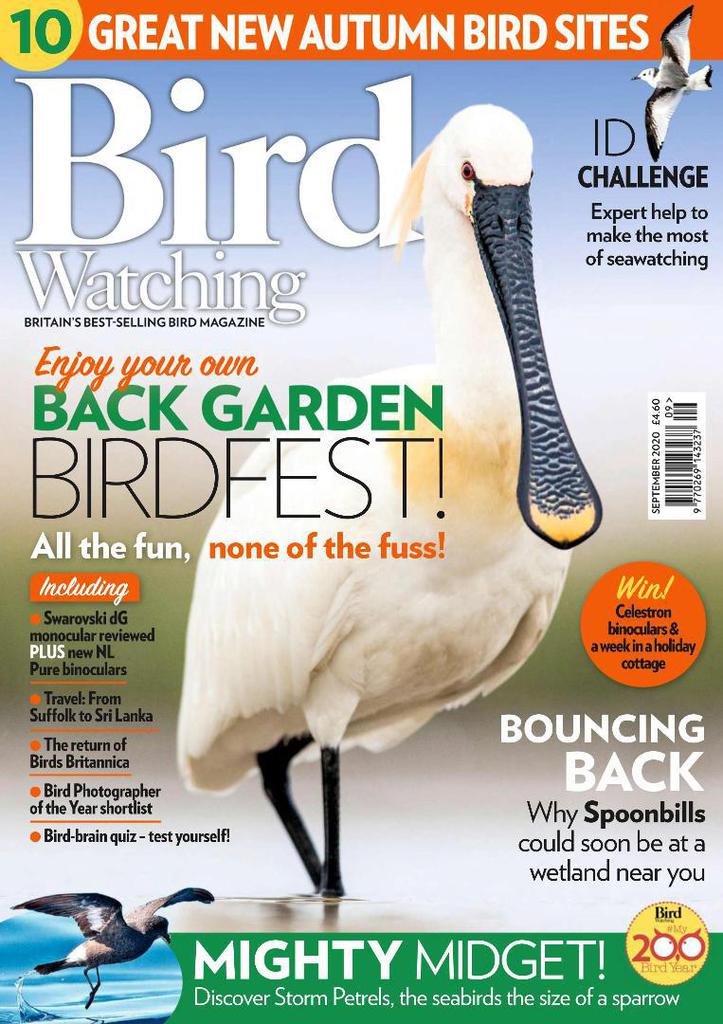 Bird Watching UK   September 2020