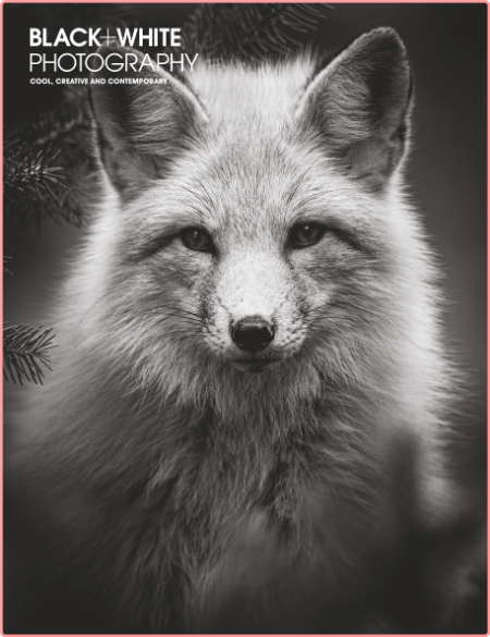 Black + White Photography Issue 273-December 2022