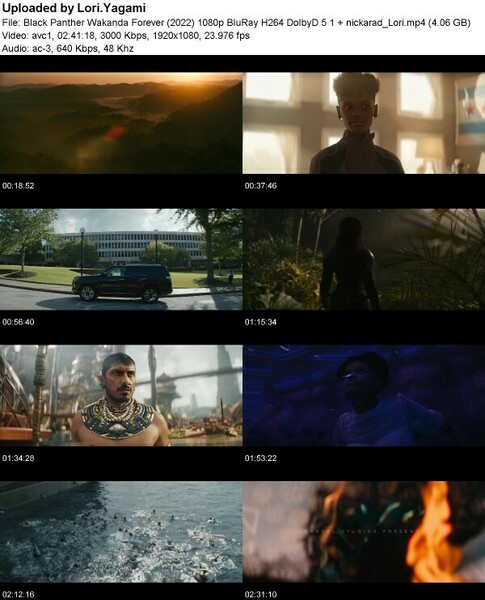 Black Panther Wakanda Forever (2022) 1080p BluRay H264 nickarad
