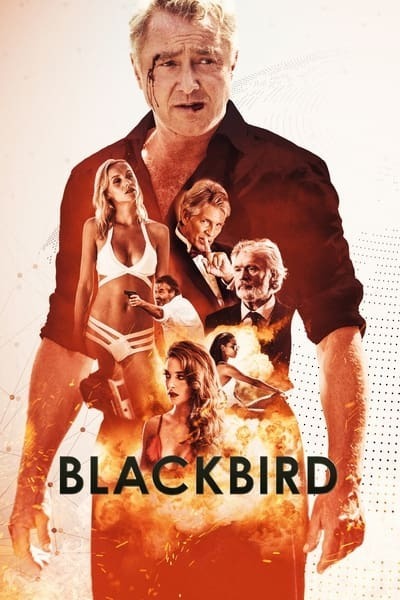 Blackbird (2022) 1080p AMZN WEBRip DDP5 1 x264-eST
