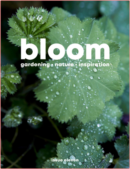 Bloom-February 2022
