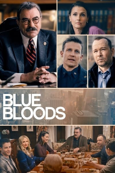 Blue Bloods S13E18 720p HDTV x265-MiNX