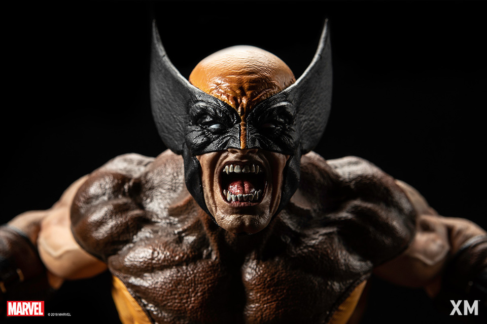 Premium Collectibles : Wolverine brown** - Page 2 Brownw004vajzb