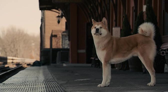 Hachi: Bir Köpeğin Hikayesi Ekran Görüntüsü 2