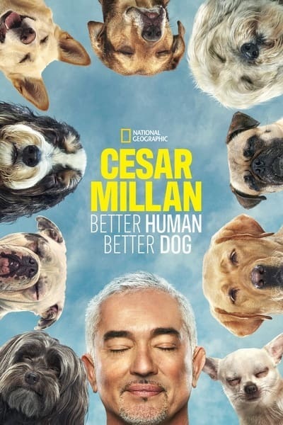 [ENG] Cesar Millan Better Human Better Dog S03E07 1080p HEVC x265-MeGusta