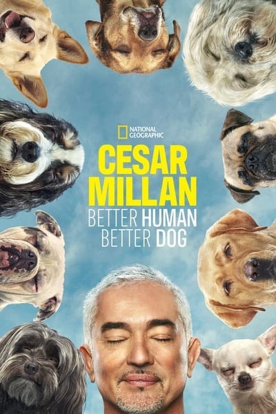 Cesar Millan Better Human Better Dog S03E06 1080p HEVC x265-MeGusta