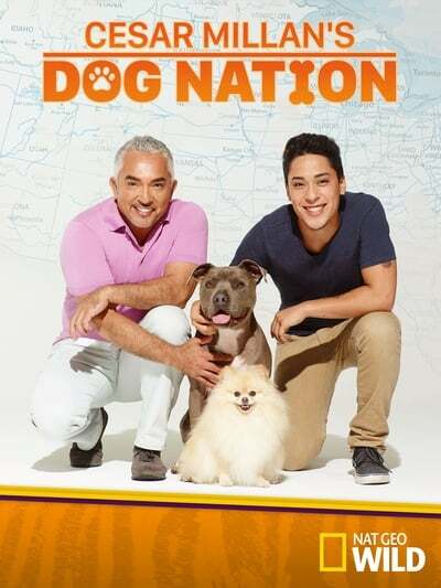 Cesar Millans Dog Nation S01E01 XviD-[AFG]