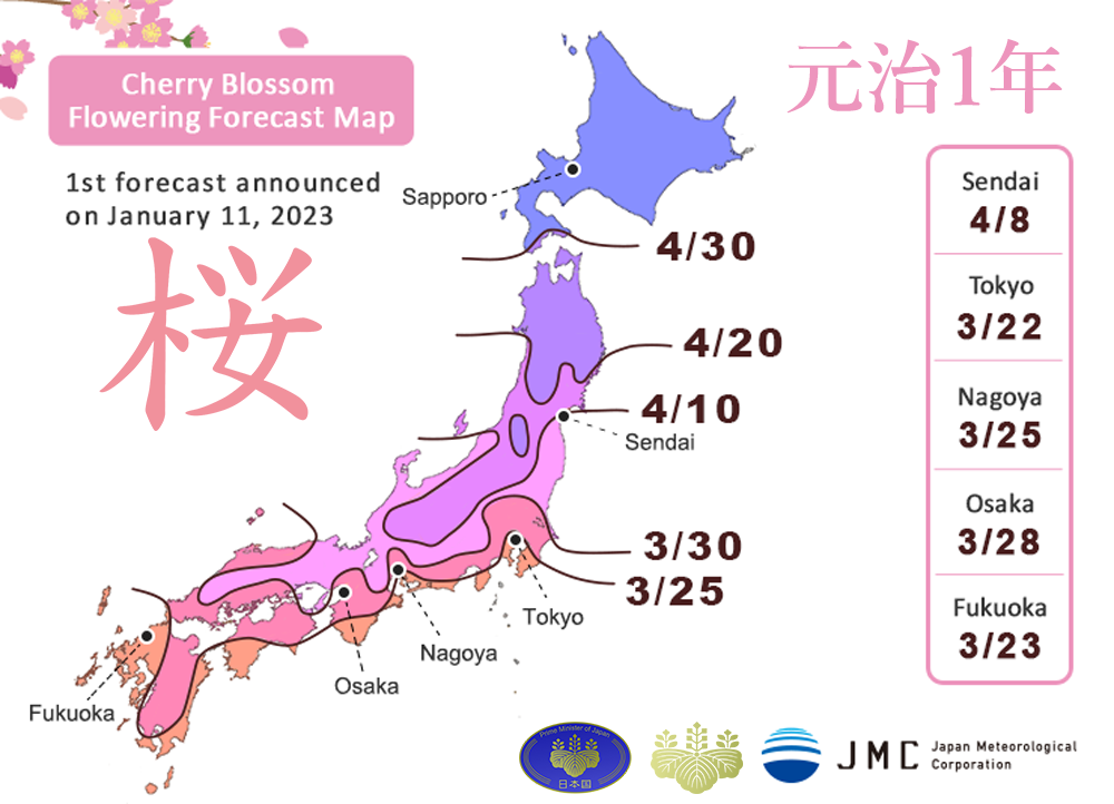cherry_blossom_20237ac86.png